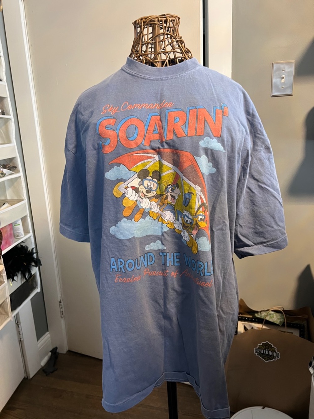 Disney Soarin' Around The World Graphic Tee - Blue